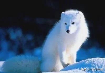 民间灵怪真实故事,民间志怪灵异故事传奇