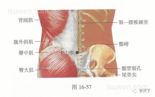八髎穴位针灸可以治疗痛经,痛经针灸特效穴位