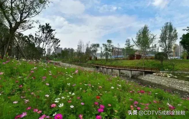 成都新发展理念的公园城市示范区,成都发展新篇章