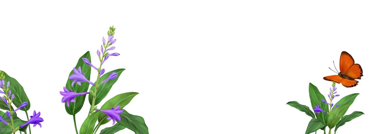 关于蝴蝶的秘密你知道多少,蝴蝶有没有与众不同的部分