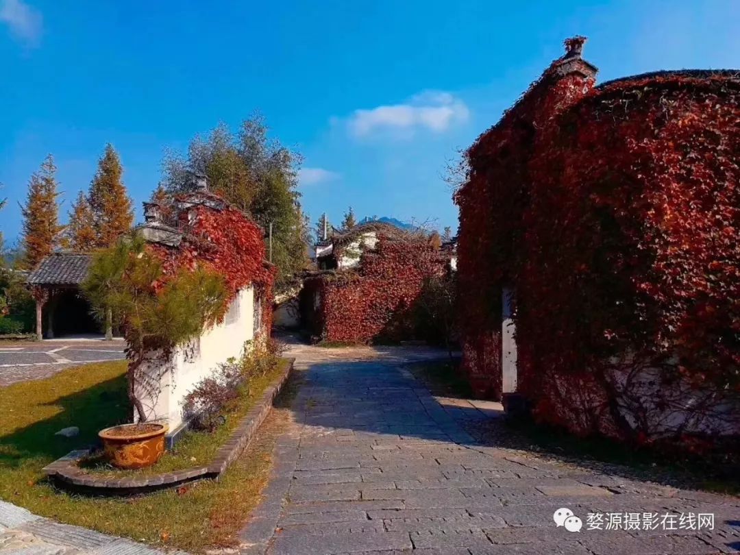 10月下旬徽州摄影推荐,金秋皖南婺源摄影之旅