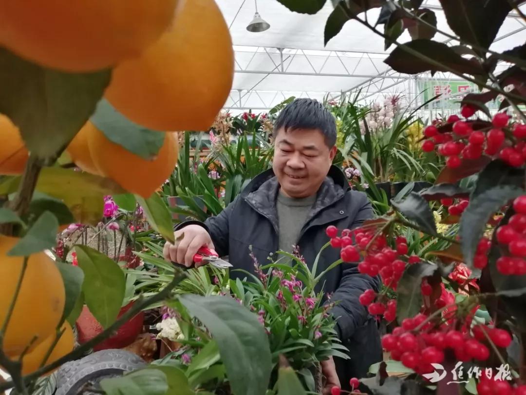 想把春天送给你……焦作这位“文化草根”的创业故事满满正能量