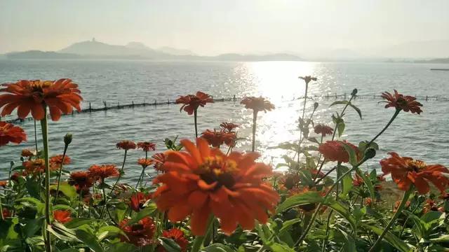 初中英语单词必背3500词图,英语单词10分钟学习