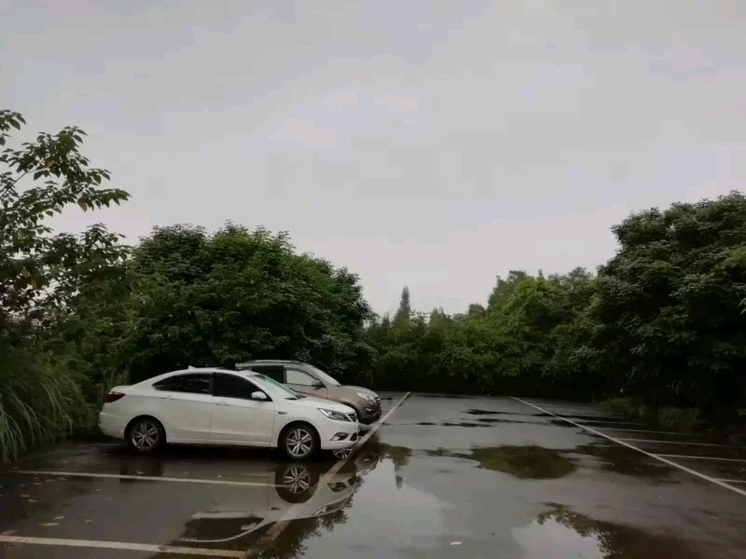 挖坟三人组,三人组合挖坑