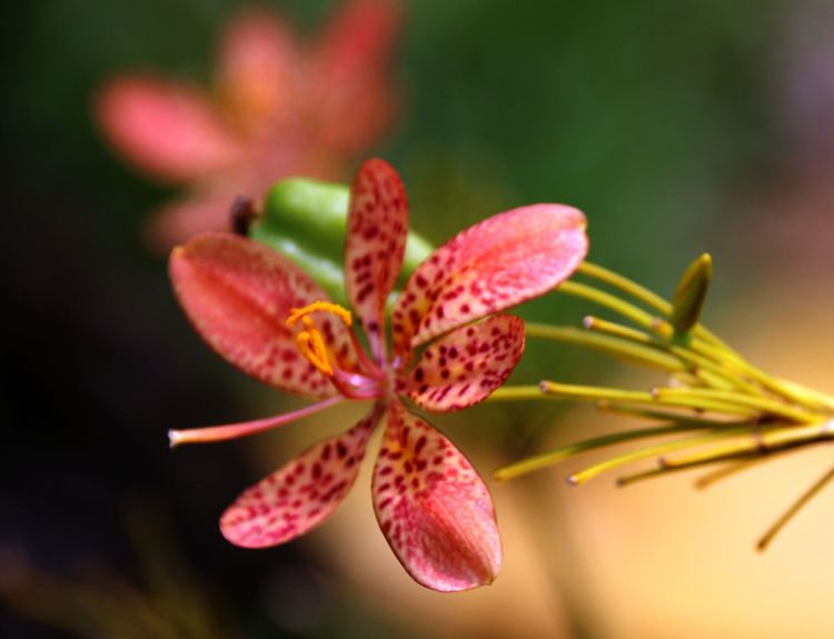 做人不要太精明有时会害了自己,做人要踏实不要玩心机耍小聪明