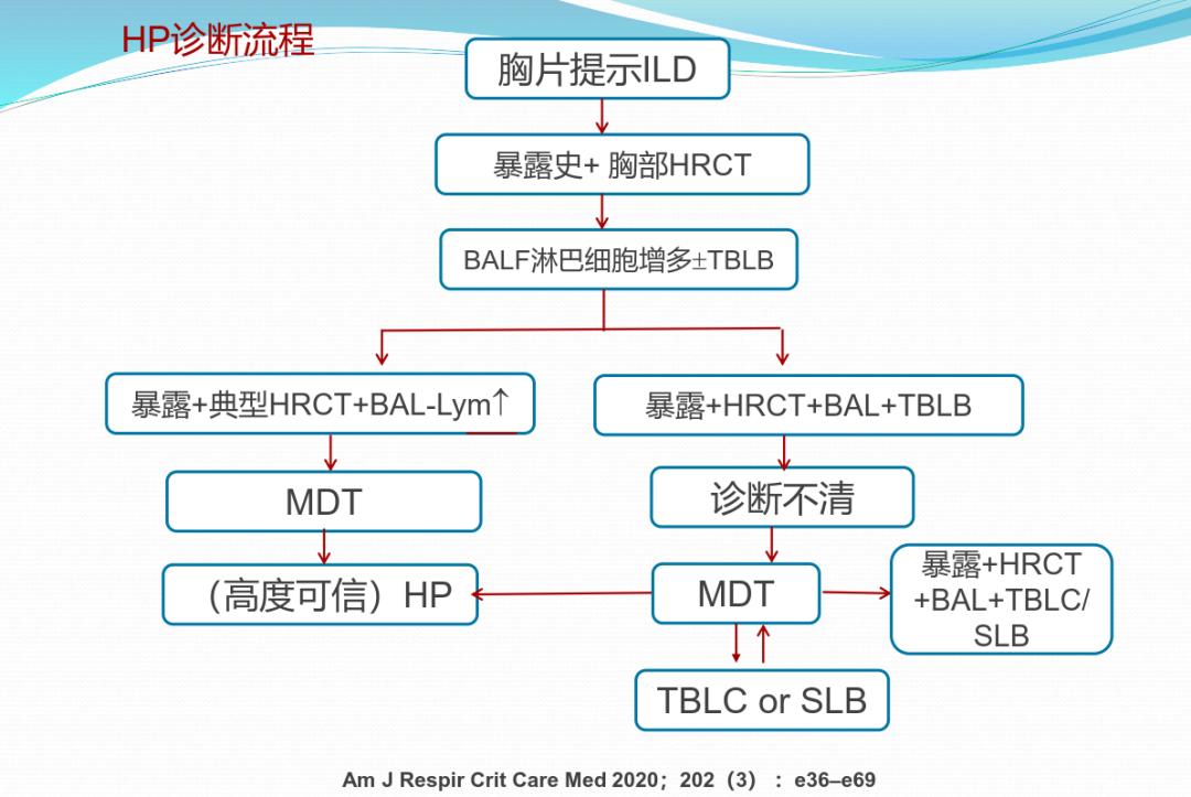 养鸽子造成皮肤真菌感染,养鸽子会得肺炎吗