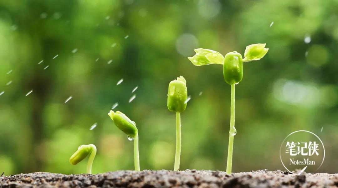 美团组织架构标准,美团数字化转型思路