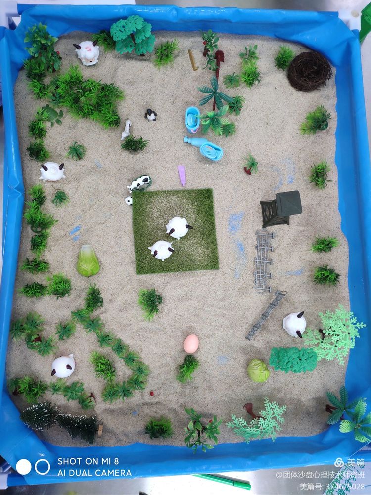 中社联“心社联动送安心”公益行——体验式团体沙盘心理辅导活动走进武汉关小学