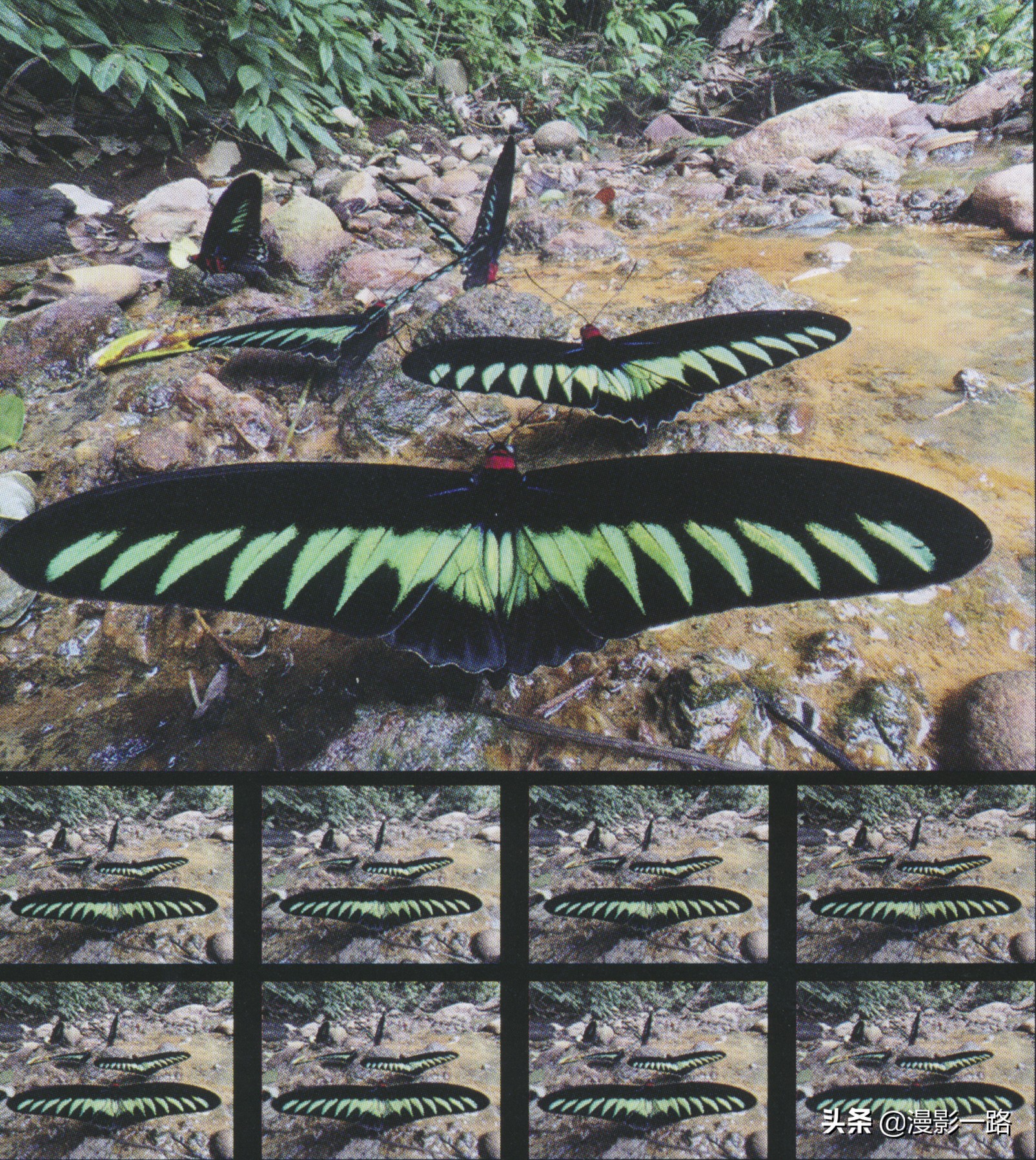 奥林巴斯em1x对焦有多强,奥林巴斯e-m1x暗光拍摄画质不好