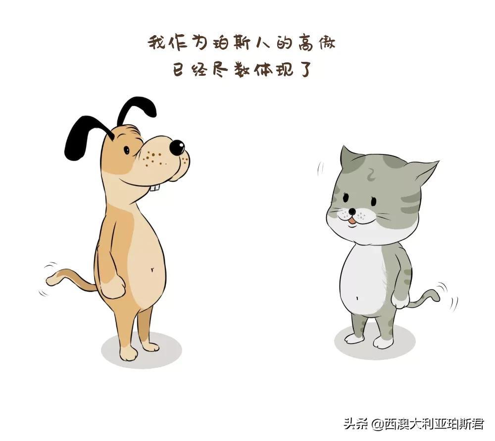 这个梗火爆全网？既然提到privilege，那就说说西澳人的高傲在哪