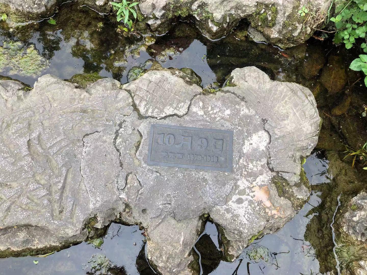 贵州黄果树天星桥瀑布太美了,打卡贵州安顺黄果树大瀑布景点