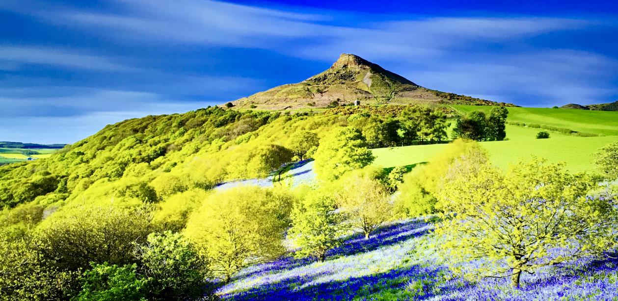 lg超薄oled电视评测,外观设计非常绚丽又亮眼