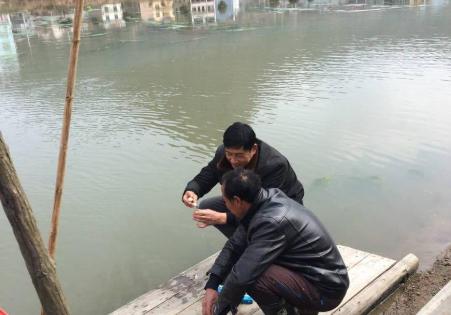 蟹塘泡沫颜色,蟹塘泡沫多怎么处理