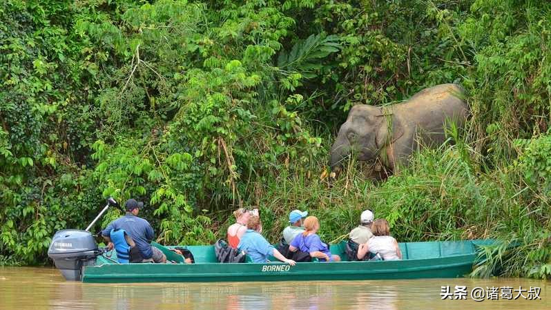 去一趟马来西亚要花多少费用,去一趟马来西亚一天游