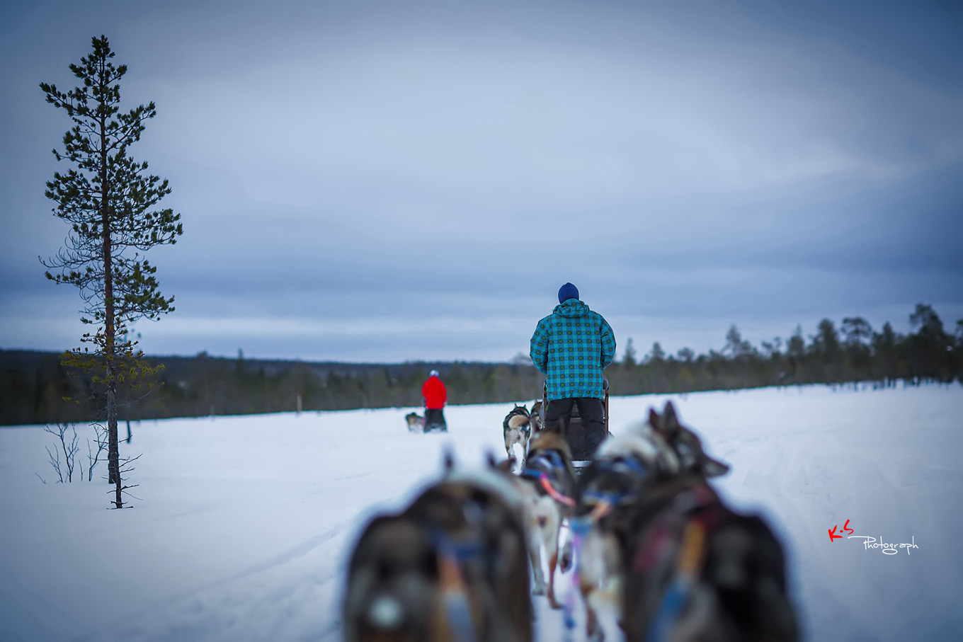 果小姐的慢生活之冰雪奇缘