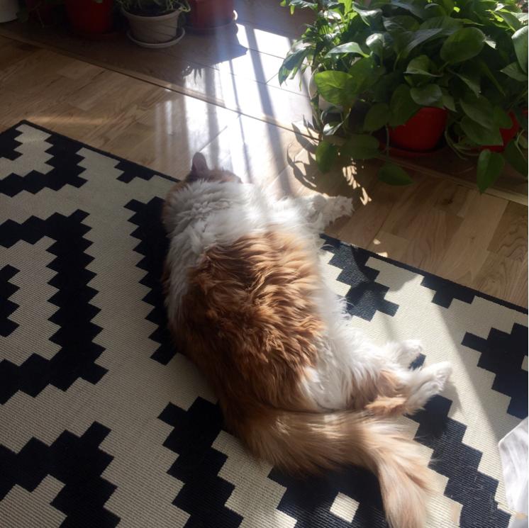 北京夫妇的断舍离生活：控制“买买买”，全屋收纳堪称模范！晒晒