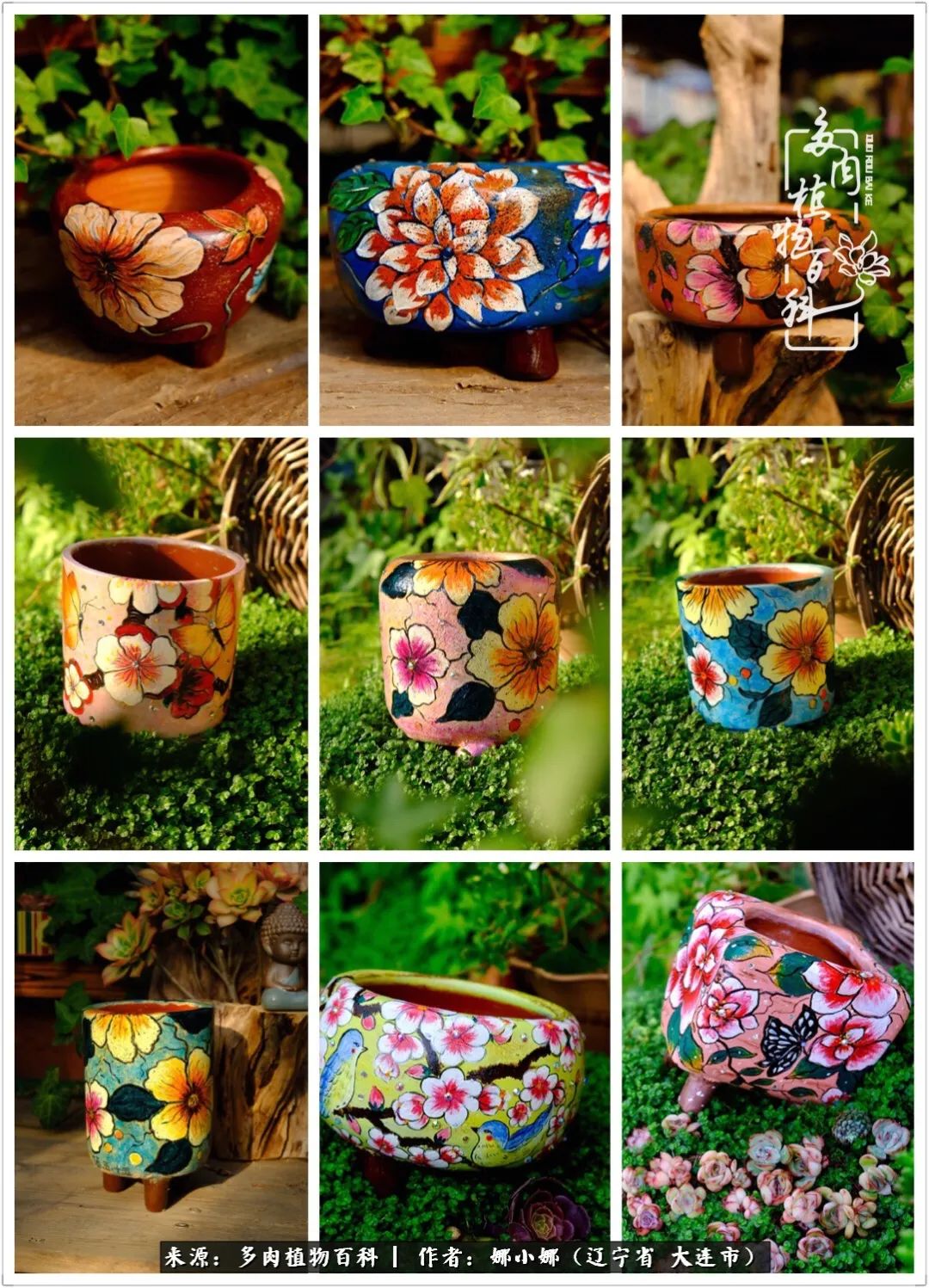 你是盆我是花，你护我周全，我为你绽放