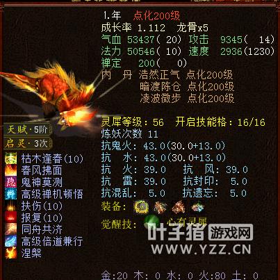 大话西游2新区克金队,大话西游2大力投资