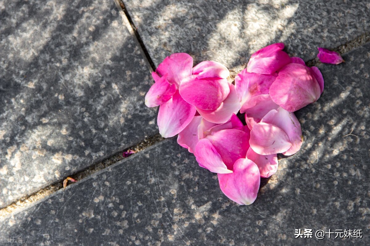 有对象了但又遇到心动的人怎么办,有对象了但是有人喜欢我怎么办