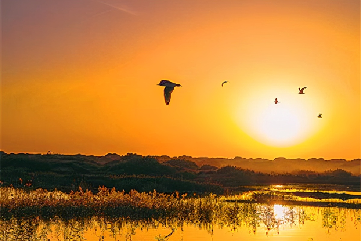 元曲四大家马致远的代表作有哪些,马致远的散曲中哪一首最出名