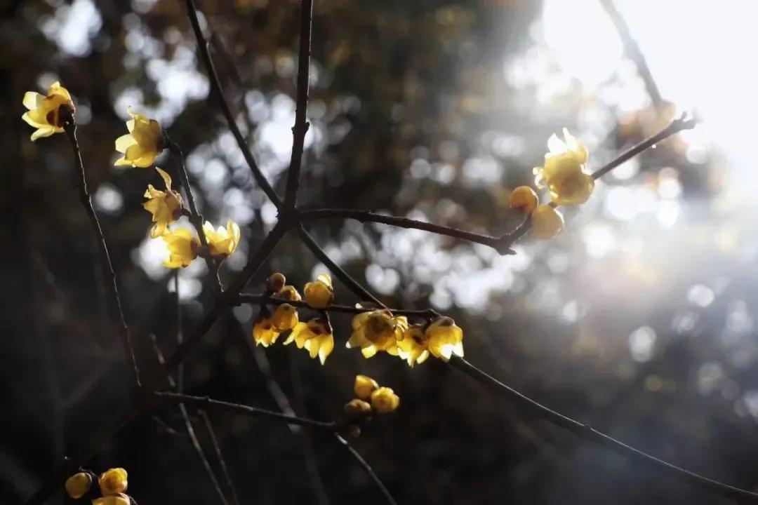 双节星空摄影作品欣赏,一组美丽的星空摄影作品
