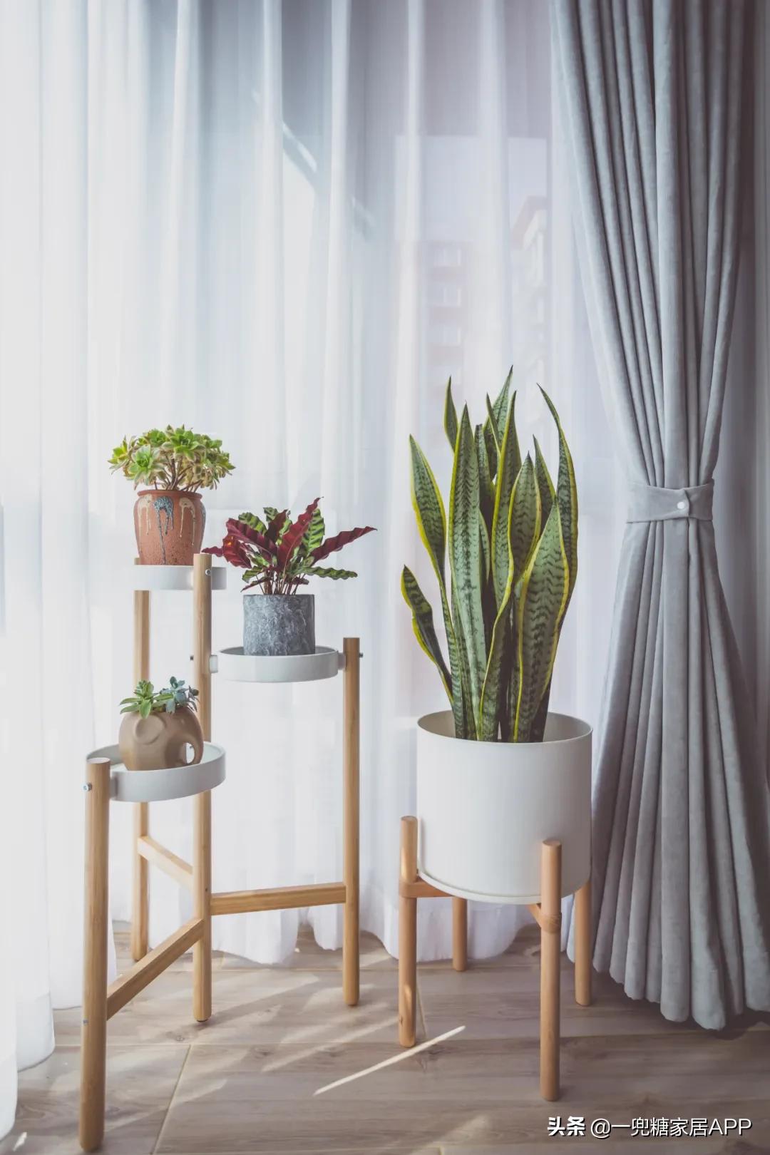 48㎡小家，餐厅可以蹦迪，还带私人影院！小户型都给我学