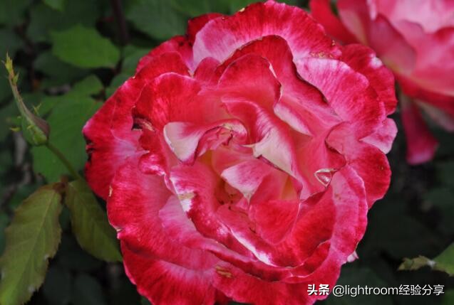 摄影的自然光线选择,摄影风景光线的基础知识