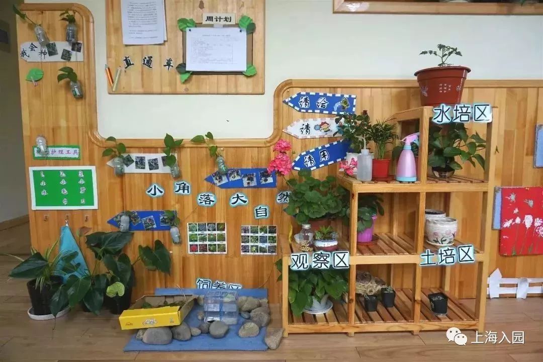 探园幼儿园环境,探园幼儿园招远