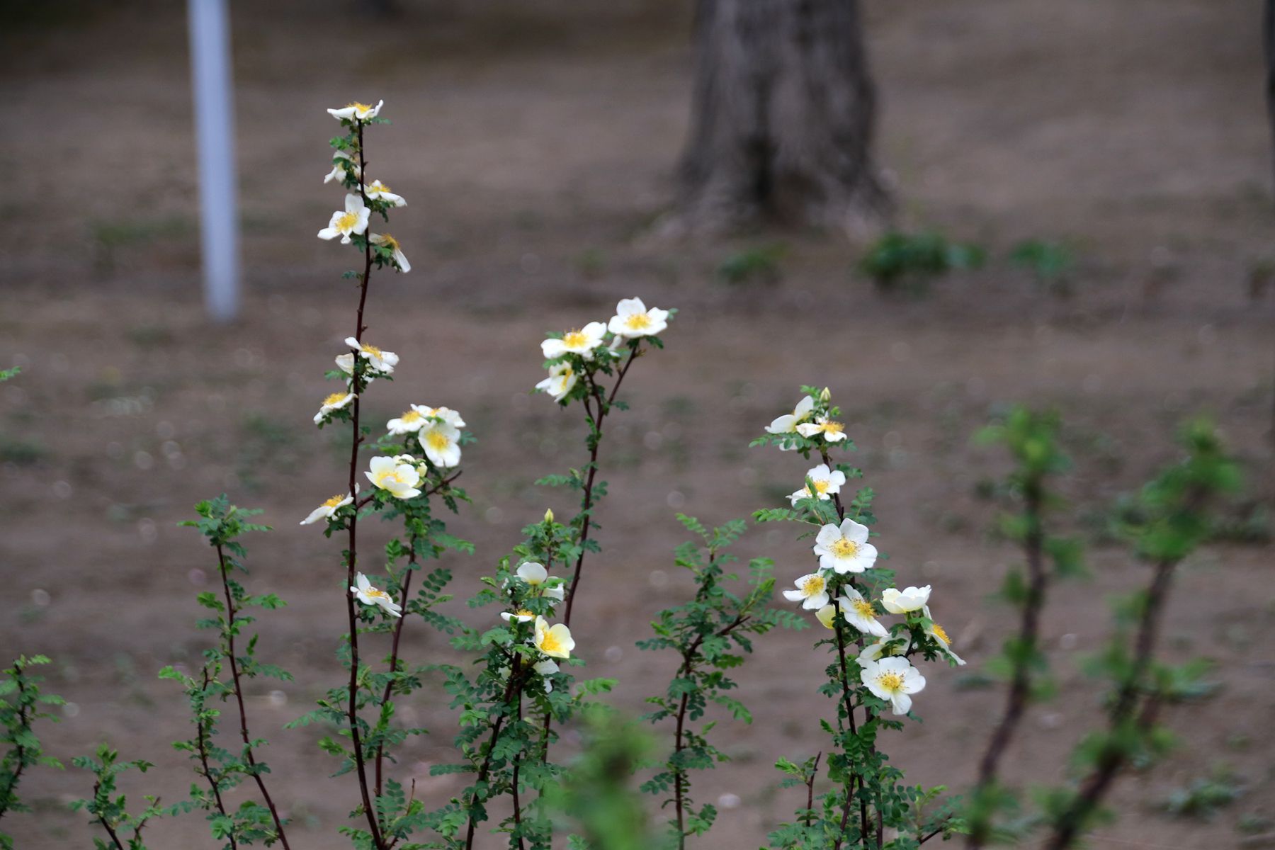 世上从来就没有什么救世主,人生从来没有救世主