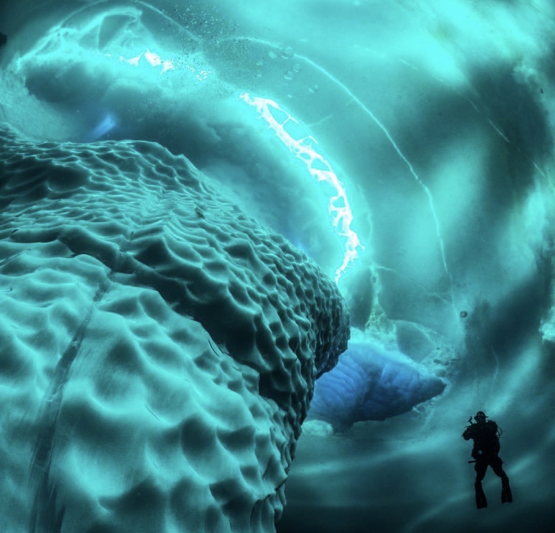 真正的高富帅｜3年时间光速逆袭，从正太逆袭英国皇室中行走的天菜