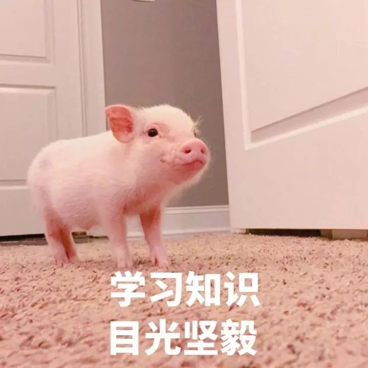 打好乒乓球接发球技巧视频,打好乒乓球的技巧