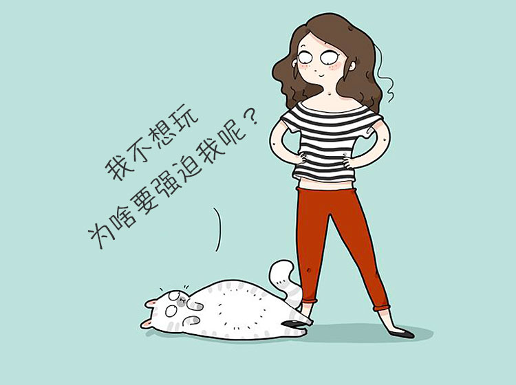如何让胆小的猫咪喜欢上你,怎么让一只胆小的猫咪胆子变大