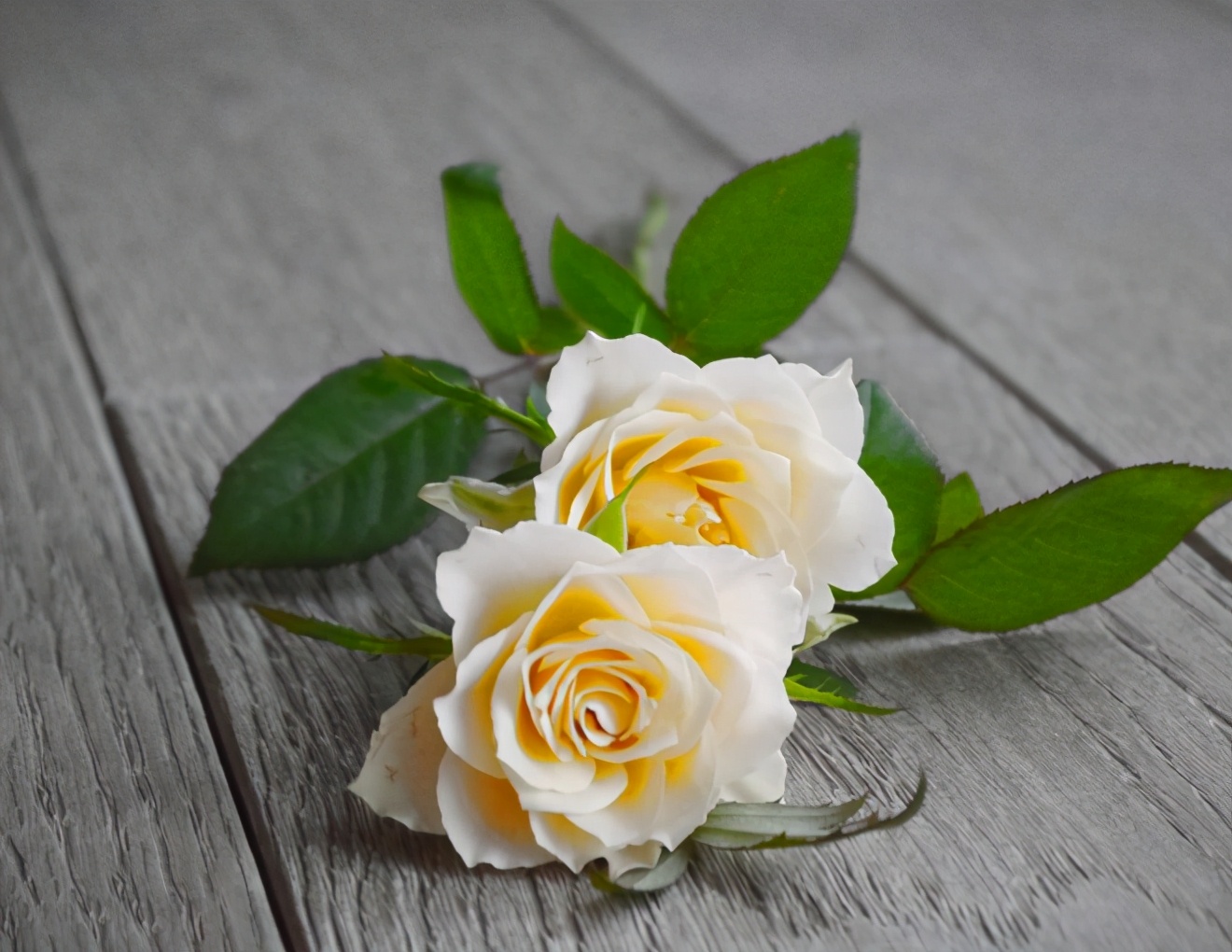 人到中年夫妻无话可说怎么办,人到中年夫妻关系淡漠怎么办