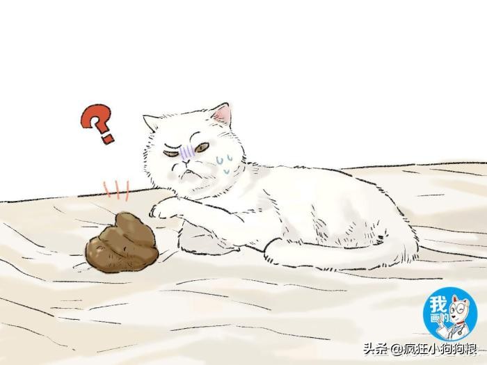 猫咪在床上拉便便后把猫咪关起来,猫咪在主人床上拉粑粑怎么解决