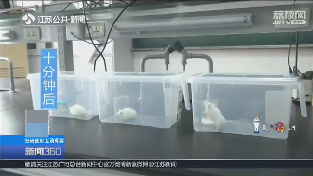 空气清新剂化学实验,空气清新剂闻多了感觉有点恶心