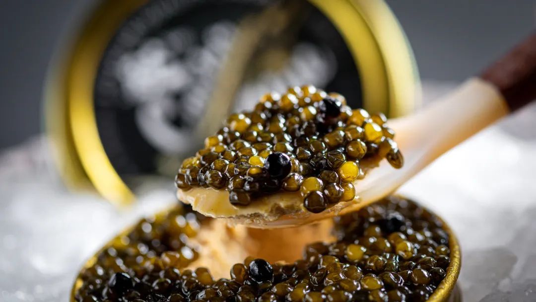 跃YUE|我和现代粤菜料理的三次「跃」会