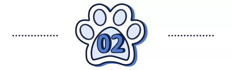 猫狗必备的药,收藏必备药品