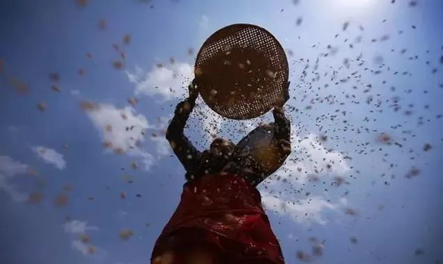 土壤对健康有害吗,土壤的危害与改善