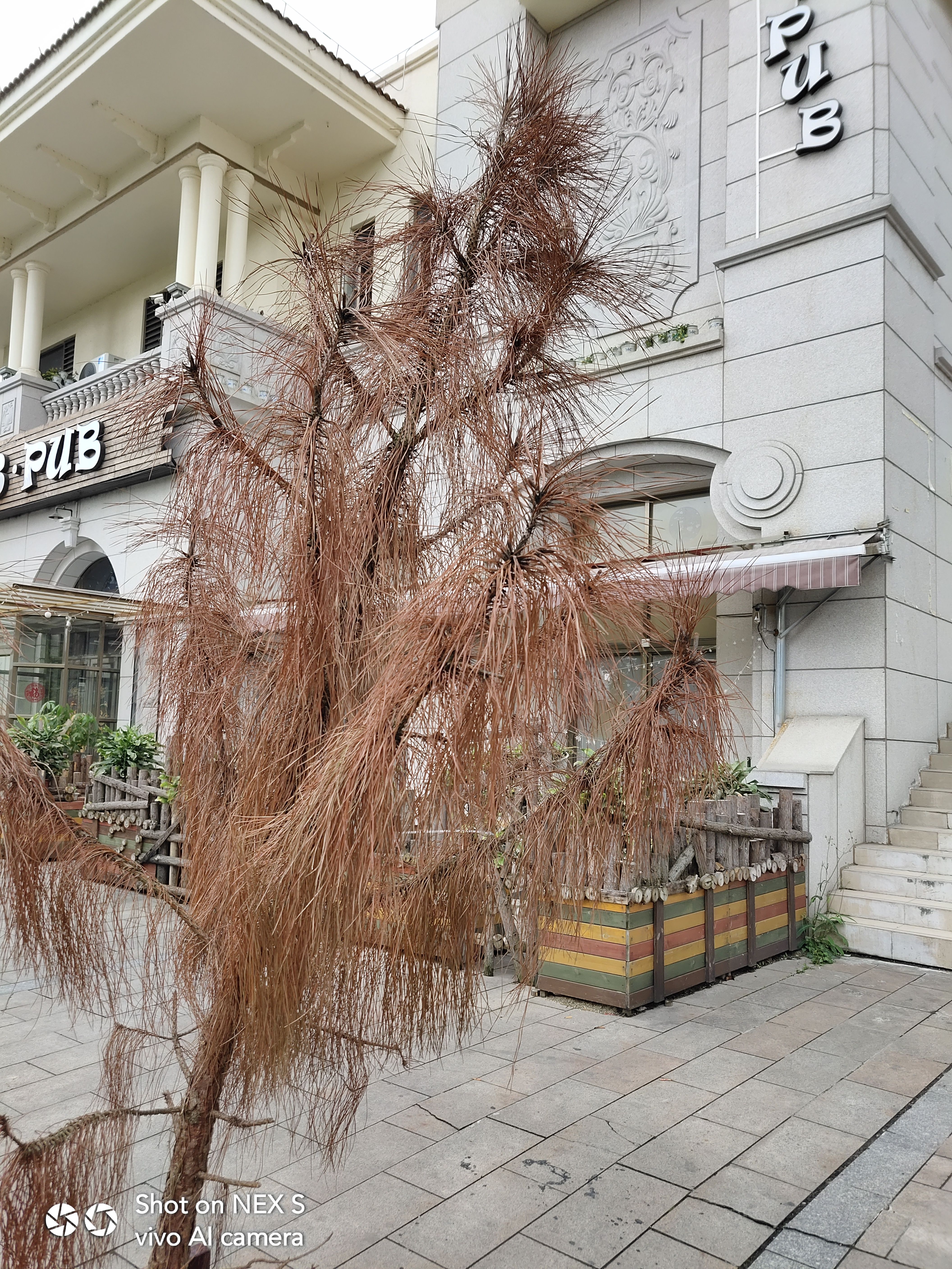 vivox27手机最大的亮点,vivox27全面屏体验怎样