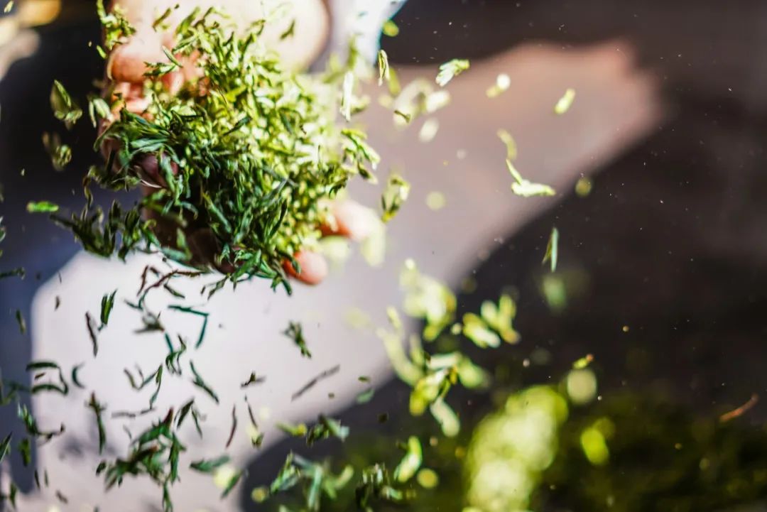 100个经典绕口令幼儿,多多练习绕口令孩子聪明又伶俐