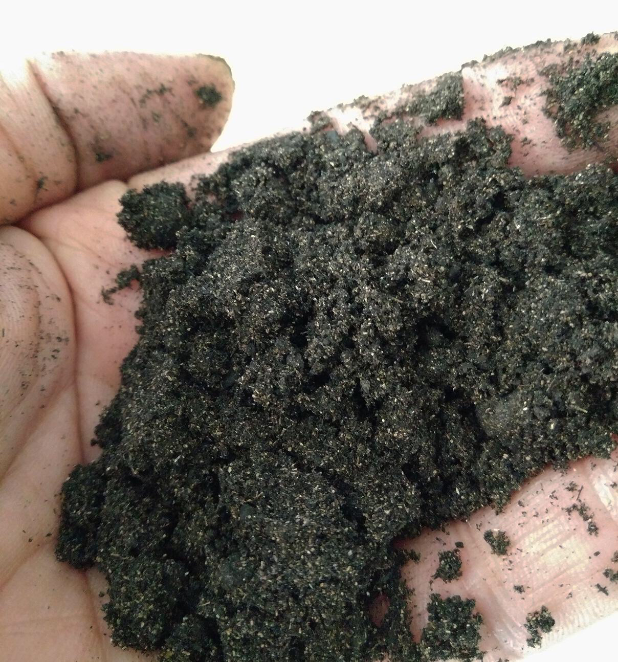 养花旧土怎样变营养土,想养花没有阳台怎么办