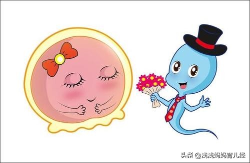 备孕女性在怀宝宝前要调理好身体，具体怎么调？特殊情况特殊对待