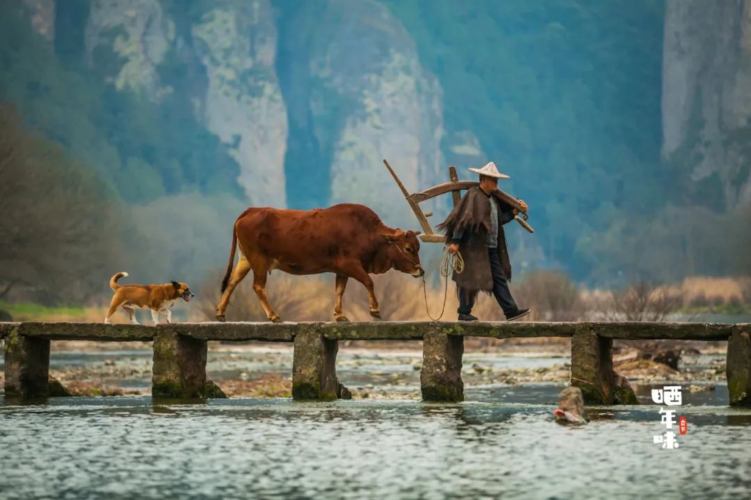 比乌镇安静比南浔古朴,藏不住了这里有最炫秋色