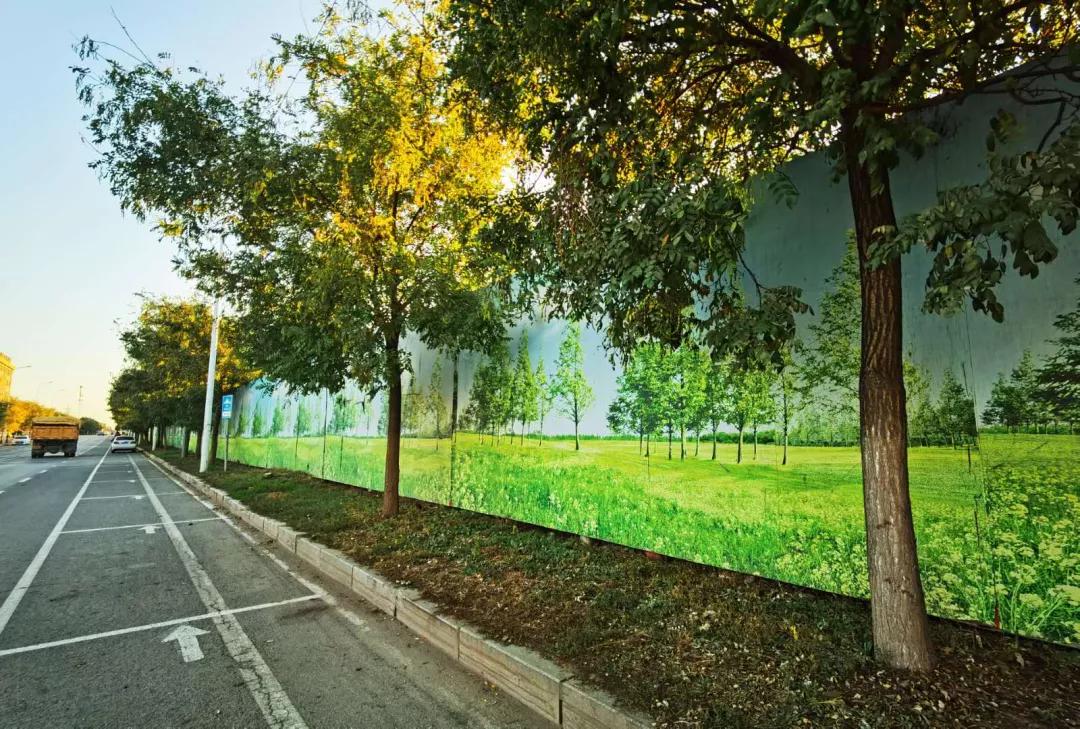 起拍价与起拍单价,地块起拍价1850万元一亩