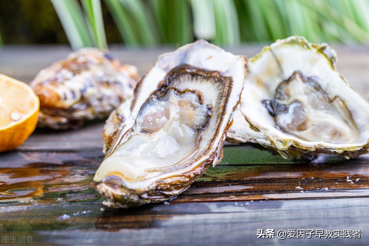 备孕夫妻知识,备孕夫妻必知最佳怀孕知识