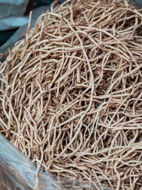 深圳宝安农批市场是几级,宝安农批市场在什么街道