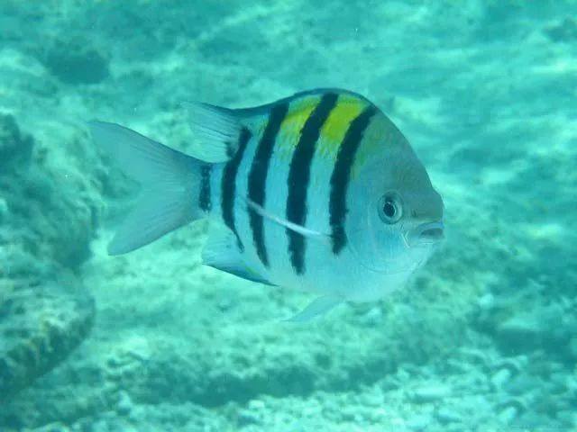 西安白鹿仓欢乐世界,西安曲江极地海洋馆旅游攻略