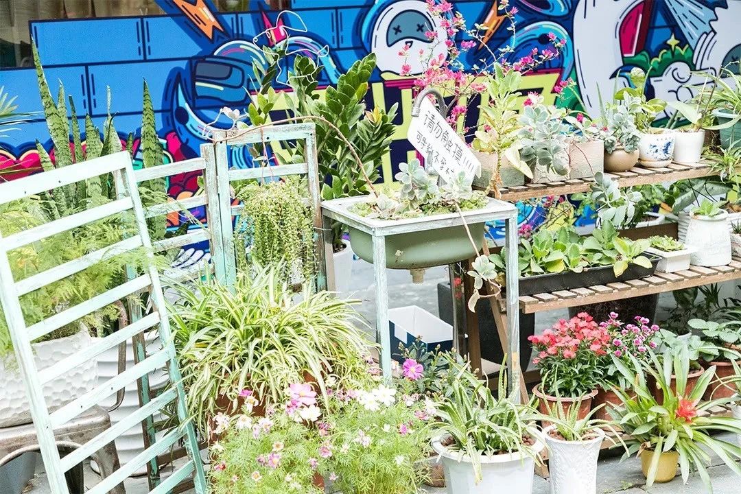 深圳十个小众打卡地,在深圳这些地方既小众又值得打卡