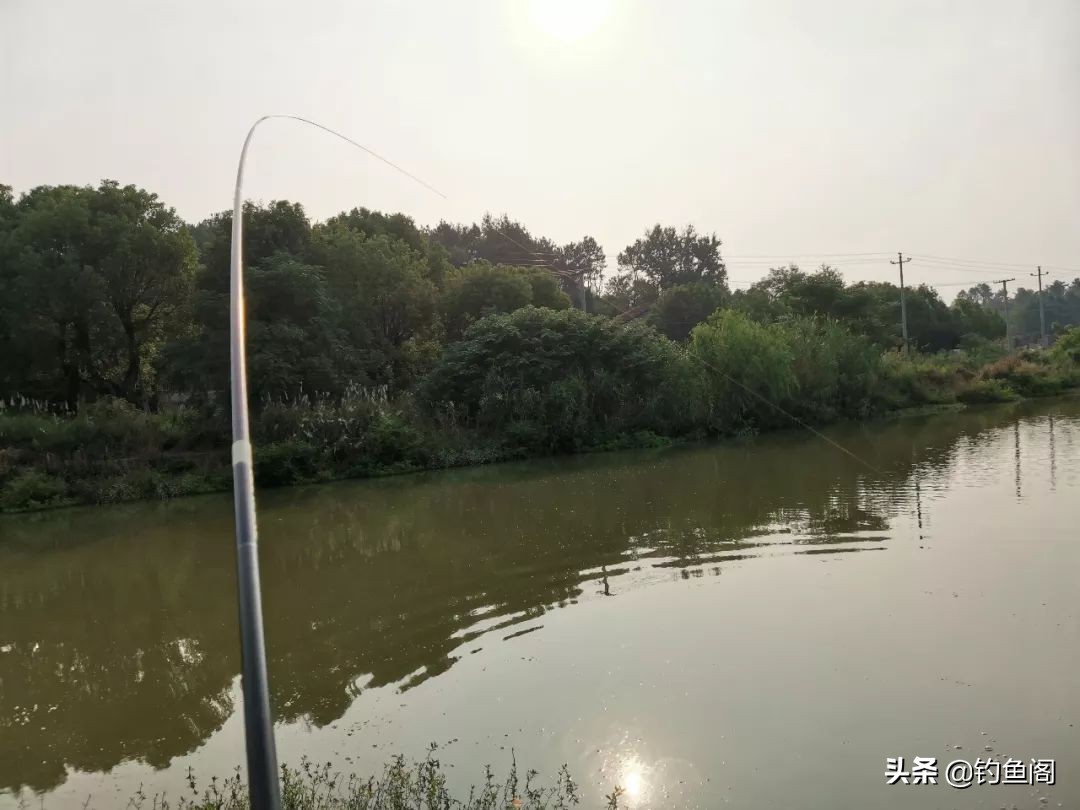 一般鱼竿多大尺寸最好用,鱼竿各尺寸鱼竿推荐