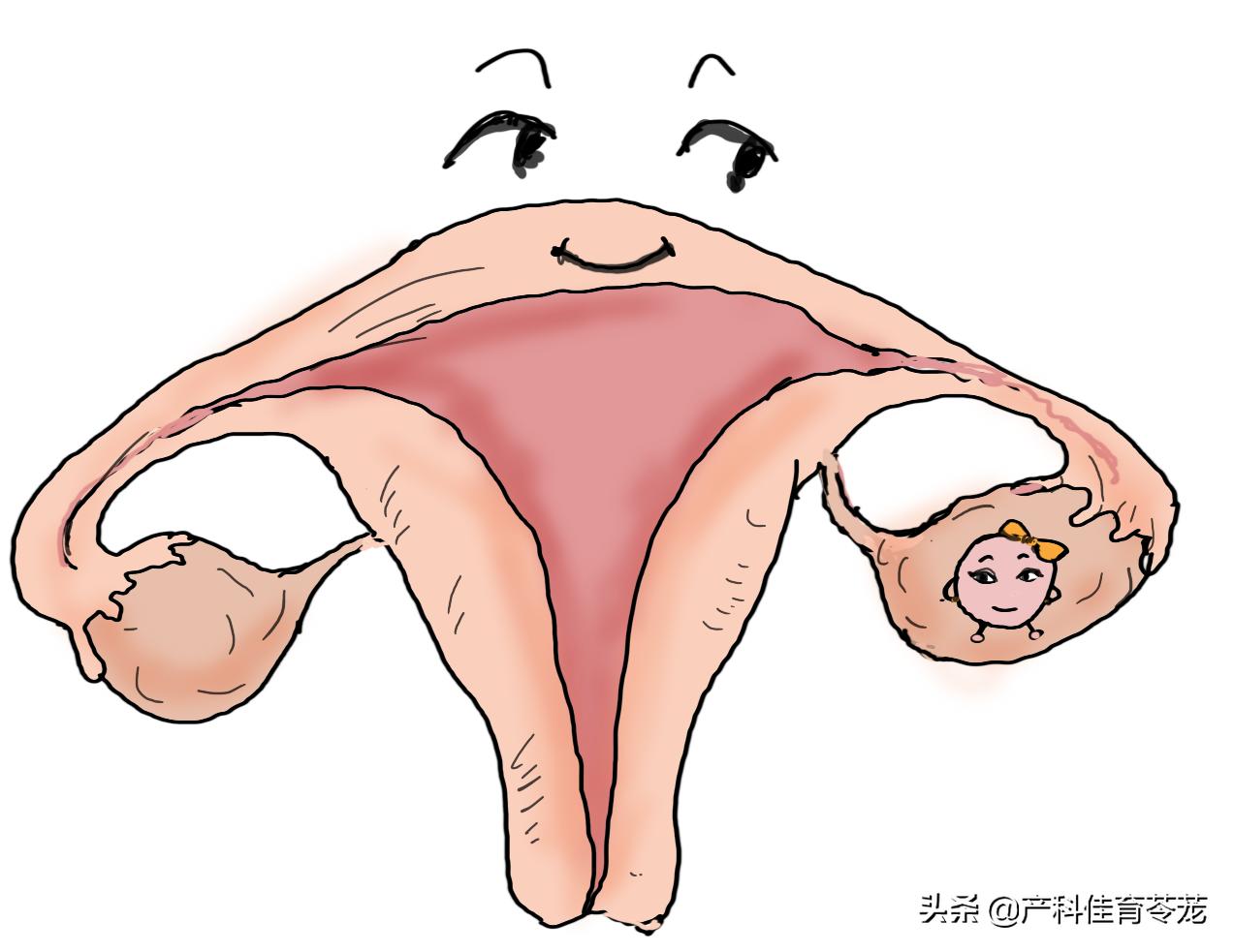 孕育生命，简单而又复杂